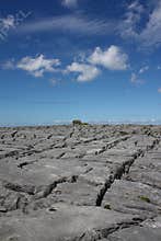 The Burren, County Clare, Ireland