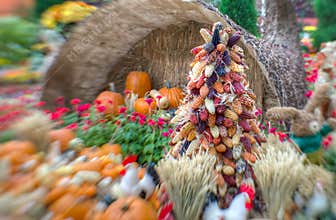 A Bountiful Autumn Harvest in selective focus