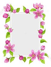 Spring floral frame with apple tree pink flowers, buds, green leaves isolated on white background. Watercolor clipart
