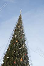 Frosty Christmas tree outdoors