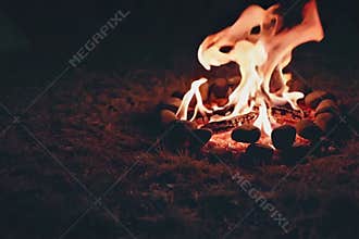 Experience the warmth and crackle of a fire in this close-up video of a blazing campfire