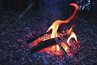 Experience the warmth and crackle of a fire in this close-up video of a blazing campfire