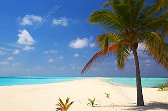 Tropical beach