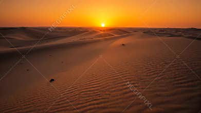 Golden Sand Dunes at Sunset in a Desert Landscape with Clear Sky