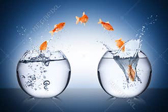 Fish change concept