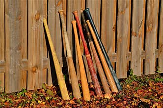 Baseball Bats Leaning on a Fence
