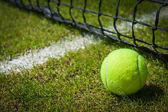 Tennis ball