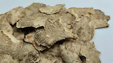 Cassava peel on a white background