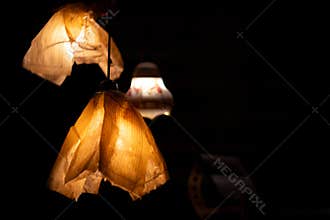 Paper lanterns glowing in the dark