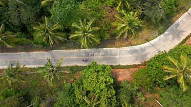 Top-down view of scooters riding on tropical road with palm trees Thailand