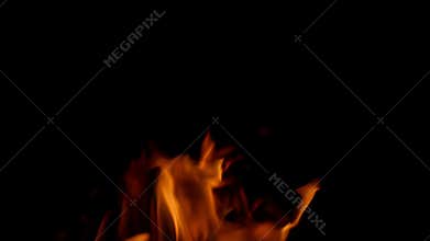The dynamic flames against a completely black background present a captivating visual display