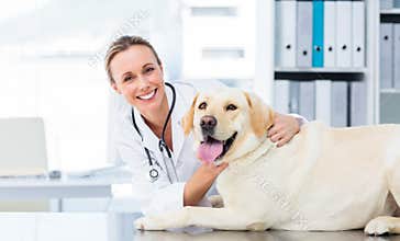 Female veterinarian examining dog