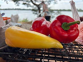 Fresh bell peppers resting on grill grate, ready for outdoor cooking