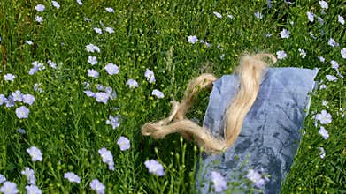 Flax Flowers, Flax Fiber, and Blue Linen Fabric on the Field Backdrop.