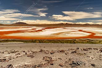 Laguna Colorada, Bolivia.
