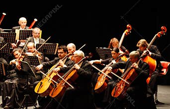 Musician playing violin, Prague Chamber Orchestra