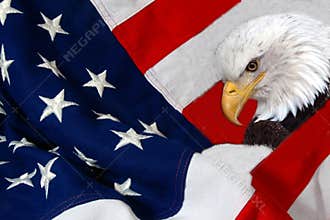 Flag and eagle
