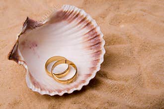 Shell and wedding band