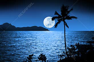 Ocean Night Moon Sky Tropical