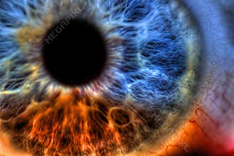 Eye