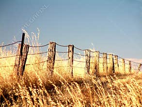 Fenceline