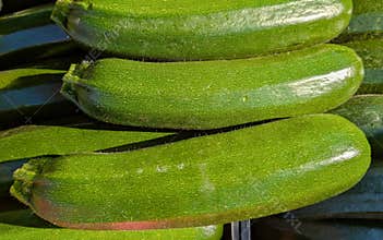 squashes, vegetables, natural, tasty, autumn, stall, beautiful