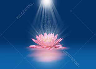 Pink lotus with light beams