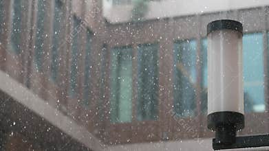 Snow falling softly in urban courtyard during winter afternoon