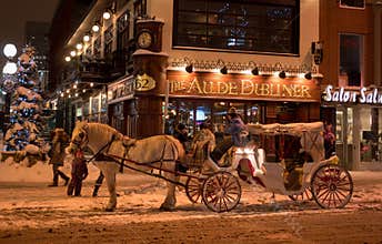 Winter Carriage ride