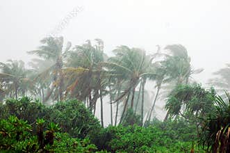 Storm in tropical island