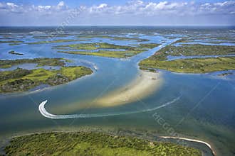Coastal wetland marsh.