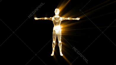 Human body, 3d , Video background. High definition and smooth movement.