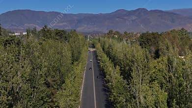 Tree-lined road leading to the mountains in Mendoza, Argentina