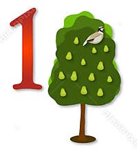 12 Days of Christmas: 1 Partrige in a Pear Tree