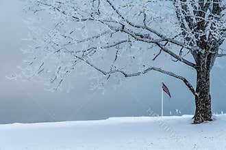rosty Winter Landscape with Norwegian Flag in Horten, Norway