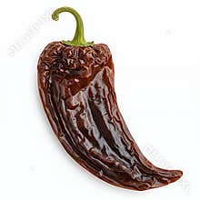 Dried Dark Brown Chili Pepper Close Up