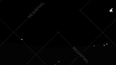 Pigeons flying, black and white Alpha Matte, stock footage