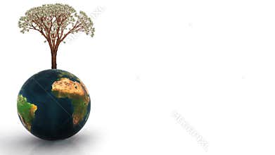 Animated glossy Earth and dollar tree growing, space for text, stock footage