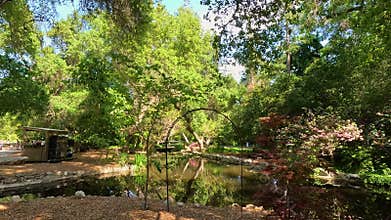 footage of pond with lush green trees and plants and colorful flowers at Descanso Gardens La Canada Flintridge California