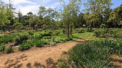 footage of a gorgeous spring landscape with colorful flowers and lush green trees and plants at Descanso Gardens