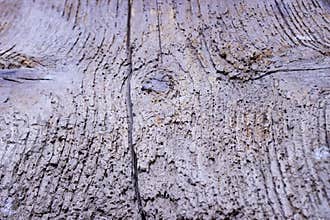 Weathered Rustic Wood Texture Background – Natural Aged Timber Surface