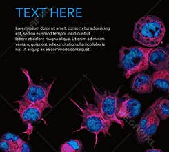 Banner with cells under microscope