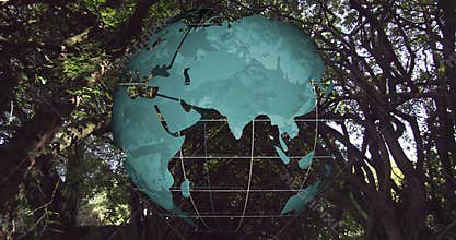 On showing teal globe on forest branches rotating clockwise showing Asia then reverting