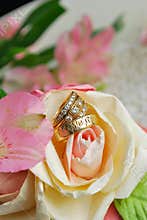 Gold Wedding Bands with Diomonds