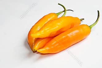 Hot chili Aji amarillo.