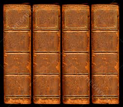 Old vintage leather book spines