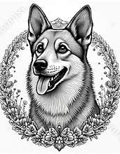 Black white mandala illustration of corgi dog. Portrait of happy pet in floral frame. Adult coloring book page design. Zen,