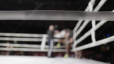 Blurred boxing match with referee raising winner&#x27;s arm