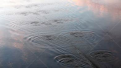 Rowing at dusk - leaving wonderful waving pattern