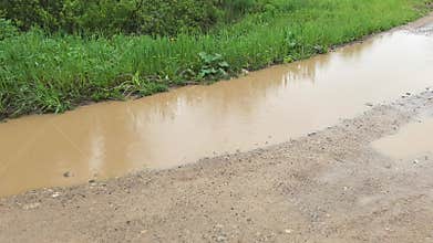 Rainwater collects in a grassy area revealing puddles and vibrant vegetation